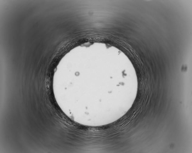 X0000099230701200805151630