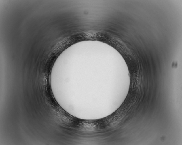 X0000099230702200805151630