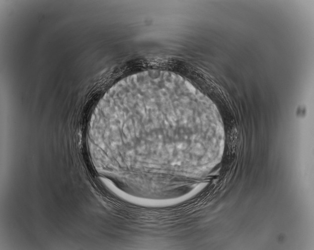 X0000099230703200805151630