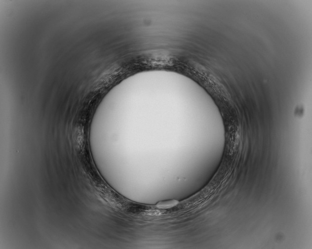 X0000099230704200805151630