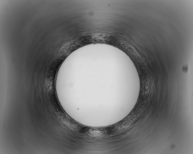 X0000099230706200805151630