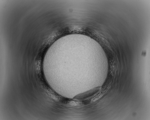 X0000099230708200805151630