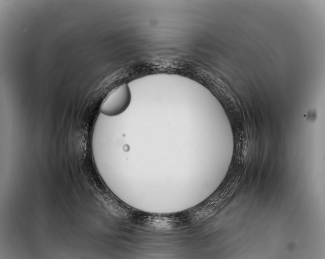 X0000099230710200805151630