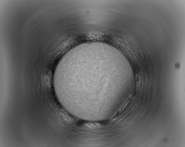 X0000099230712200805151630