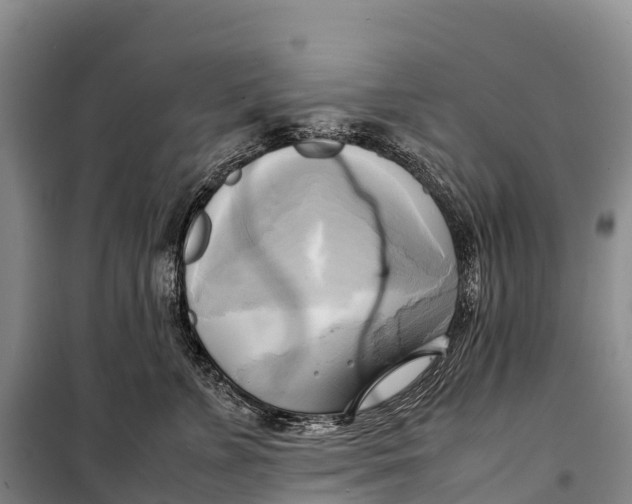 X0000099230715200805151630