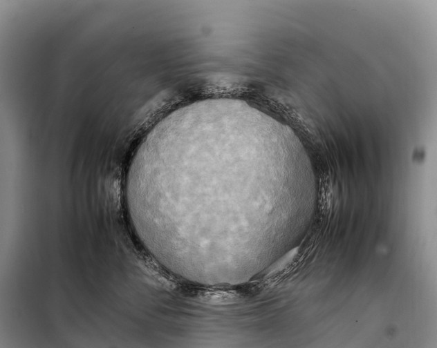 X0000099230716200805151630