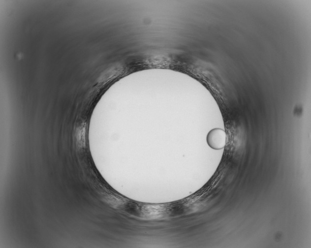 X0000099230717200805151630