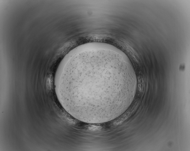 X0000099230718200805151630