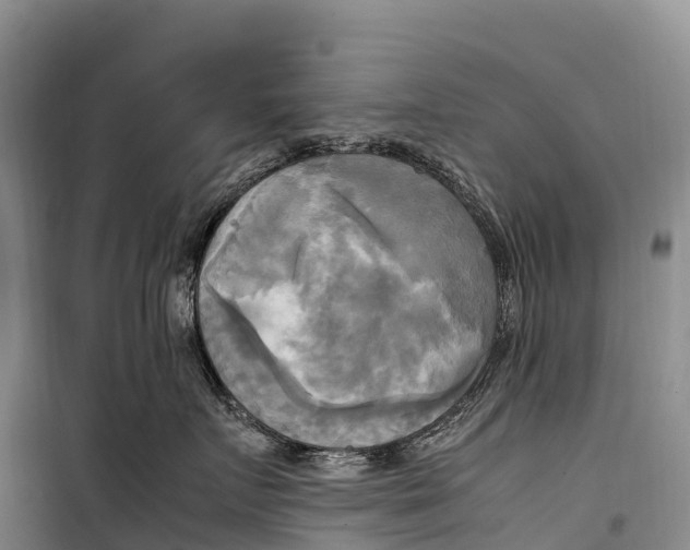 X0000099230719200805151630