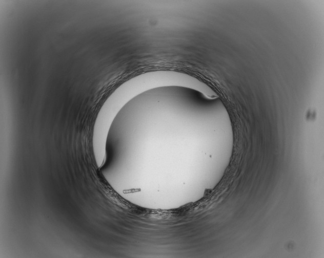 X0000099230720200805151630