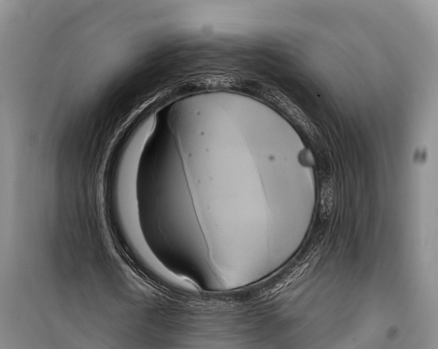 X0000099230722200805151629