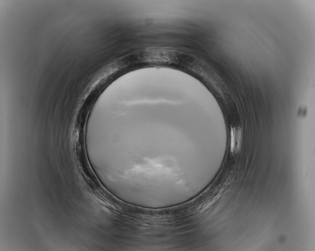 X0000099230723200805151629