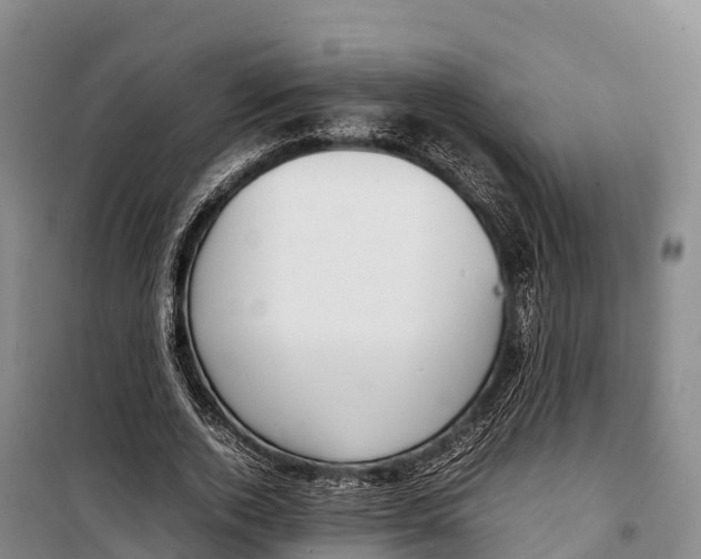 X0000099230728200805151629