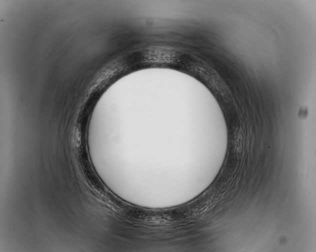 X0000099230731200805151629