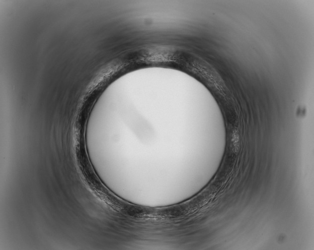 X0000099230732200805151629