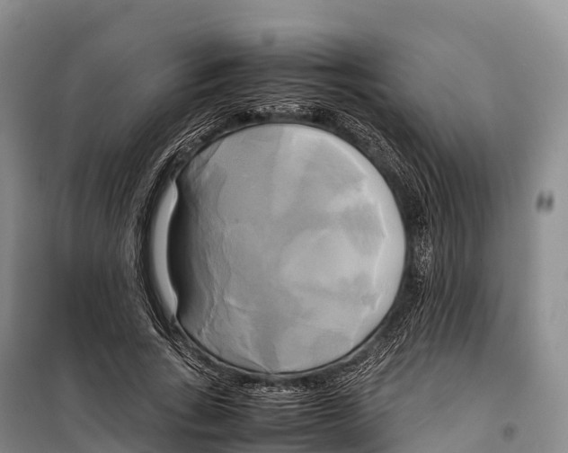 X0000099230735200805151629