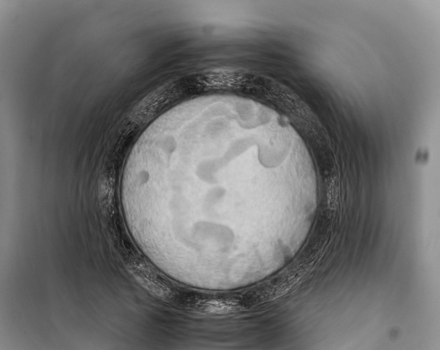 X0000099230737200805151629