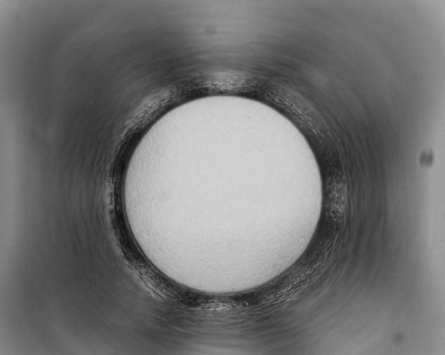 X0000099230738200805151629