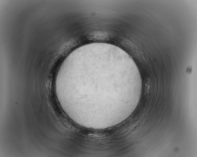 X0000099230739200805151629