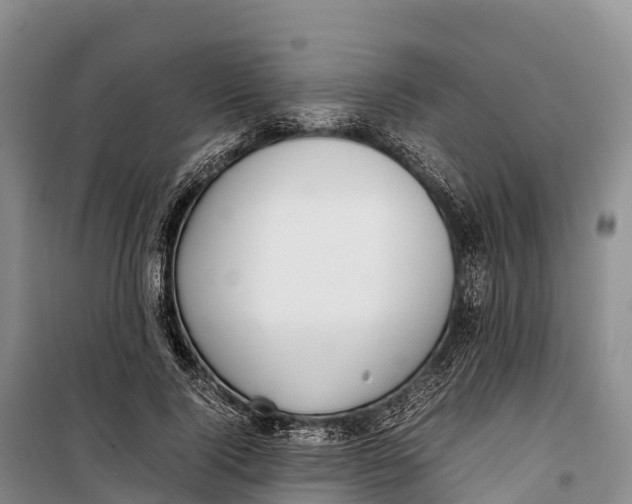 X0000099230740200805151629