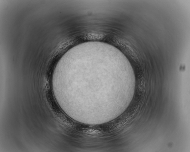 X0000099230743200805151629