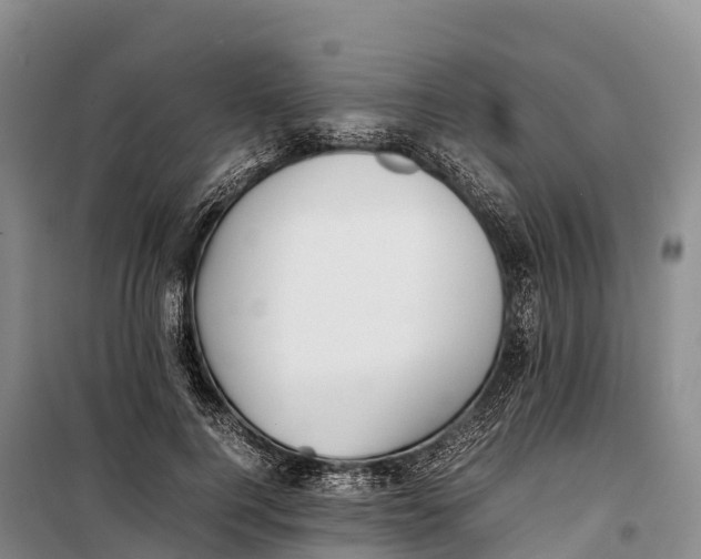 X0000099230744200805151629