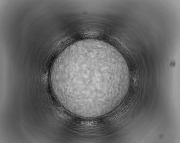 X0000099230745200805151629