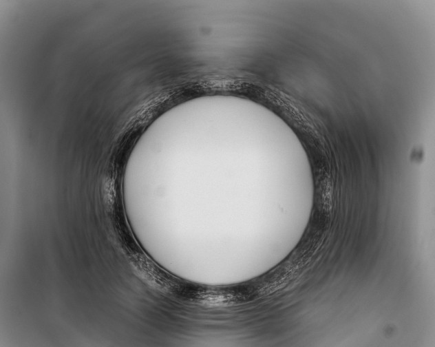 X0000099230746200805151629