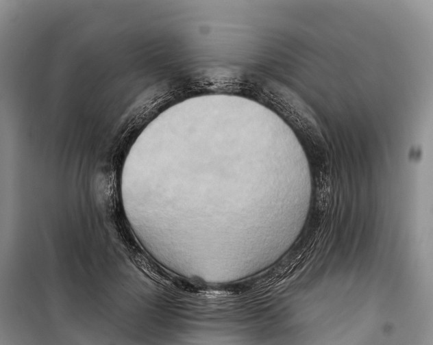 X0000099230748200805151629