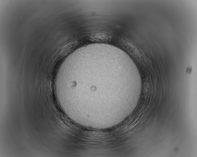 X0000099230749200805151629