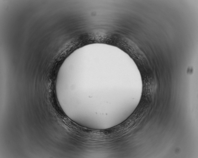 X0000099230750200805151629