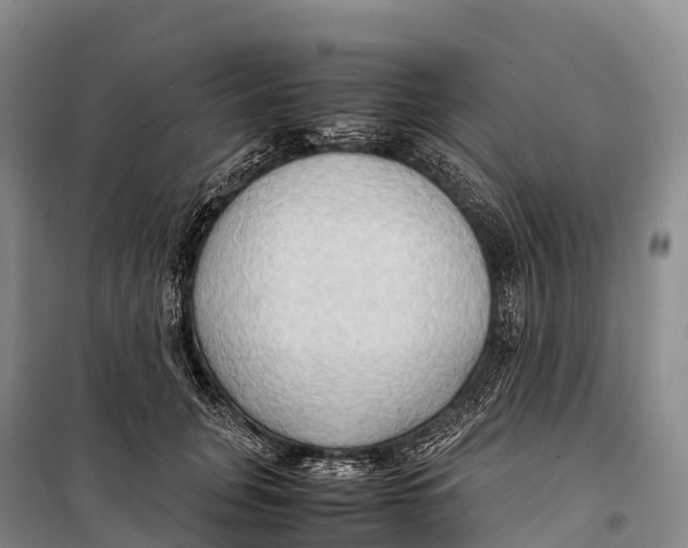 X0000099230751200805151629