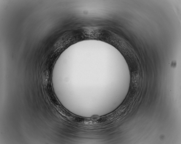 X0000099230752200805151629