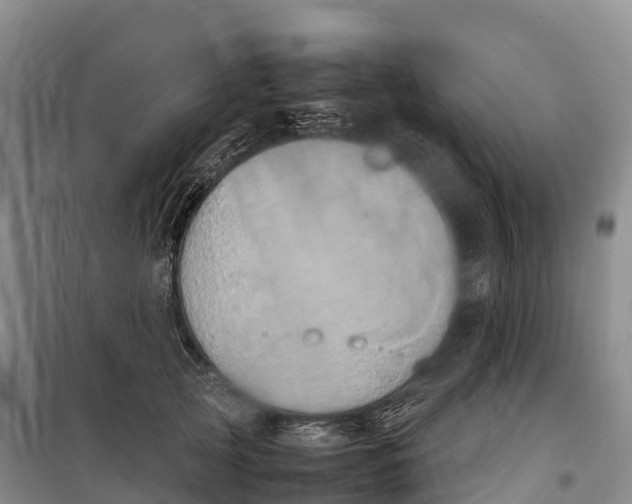 X0000099230753200805151629