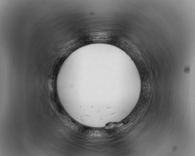 X0000099230755200805151629