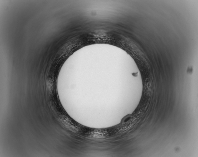 X0000099230756200805151629