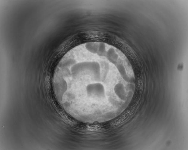 X0000099230757200805151629