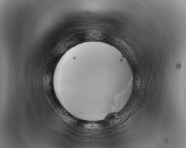 X0000099230759200805151629