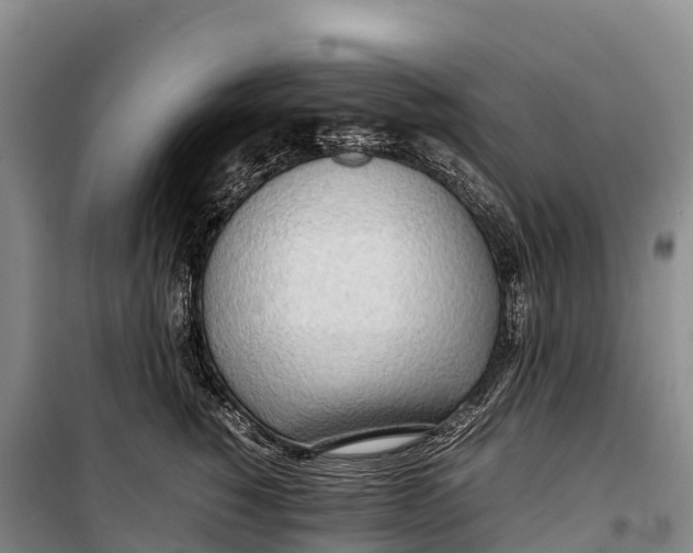 X0000099230760200805151629