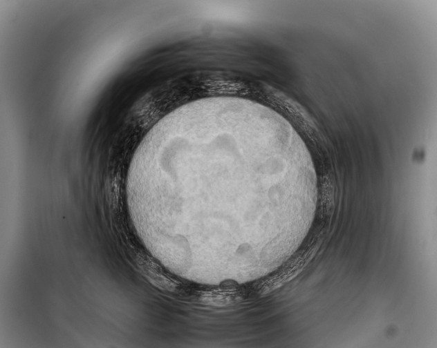 X0000099230761200805151629