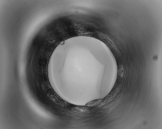 X0000099230763200805151629