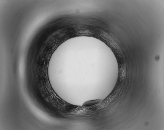 X0000099230764200805151629