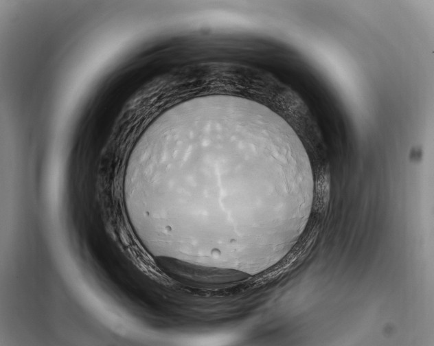 X0000099230765200805151629