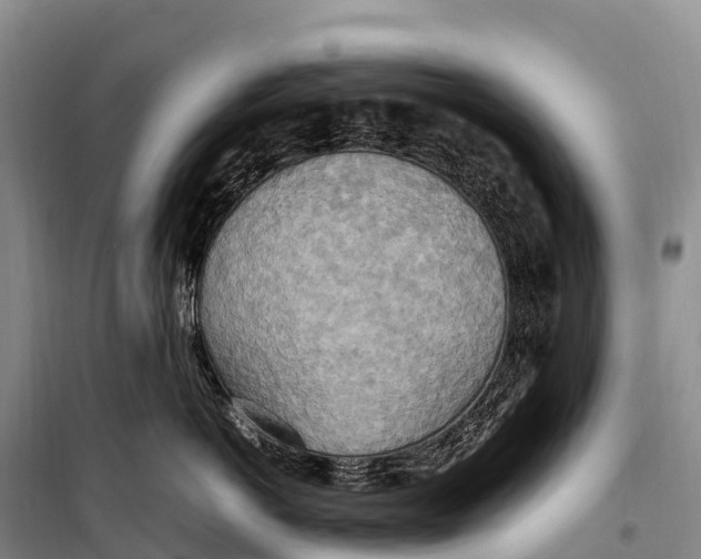 X0000099230766200805151629