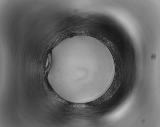 X0000099230767200805151630