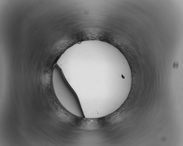 X0000099230768200805151630