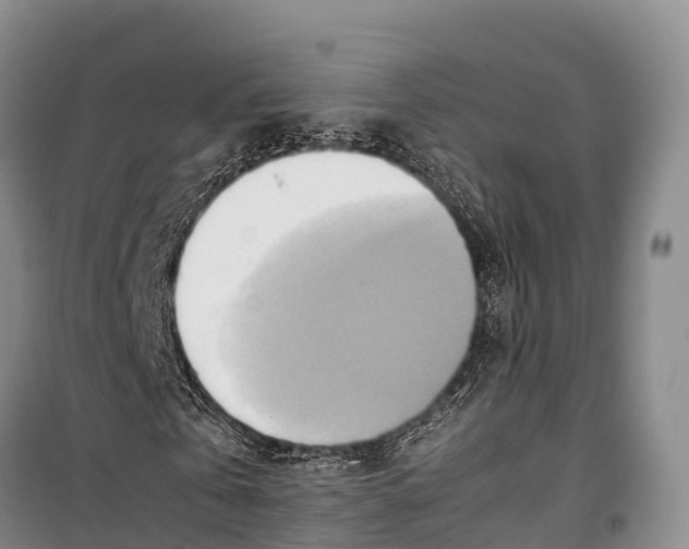 X0000099230769200805151629