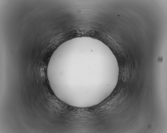 X0000099230770200805151629