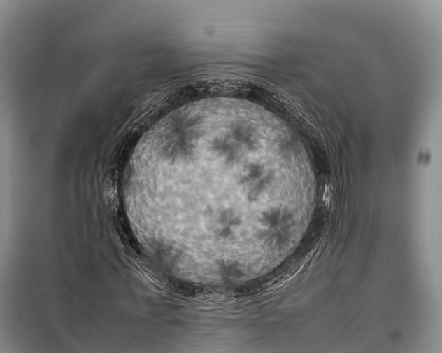 X0000099230771200805151629