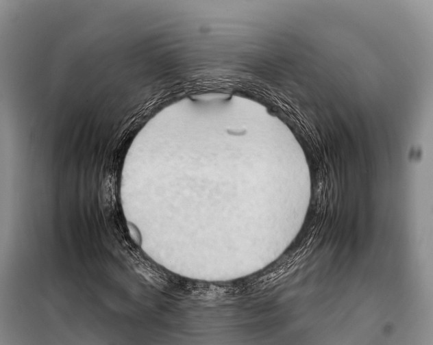 X0000099230772200805151629